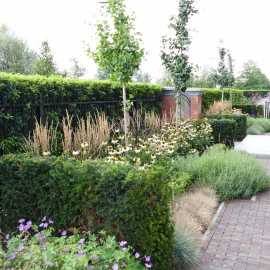 Intieme tuinkamer in Rotterdam