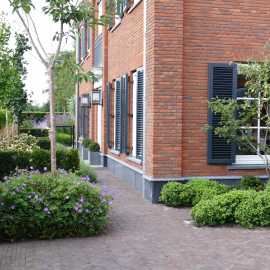 Intieme tuinkamer in Rotterdam